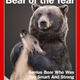 Illustration for article titled The 2014 Deadspin Bear Of The Year